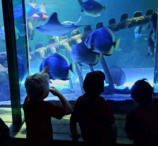 Class Topaz trip to Hunstanton